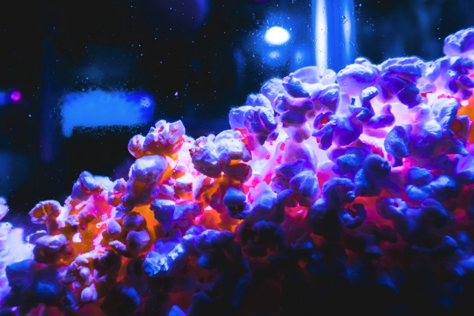 Pop-corn pour regarder des films au cinéma