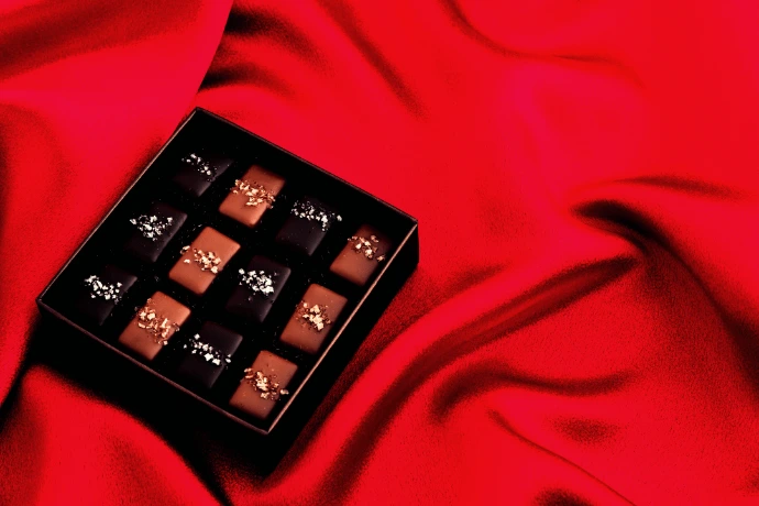Chocolats de dégustation dans un coffret