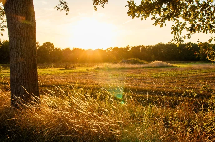 Coucher de soleil sur la campagne du pays bigouden