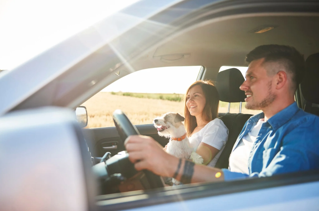 Un couple en voiture partage un escape game à quimper